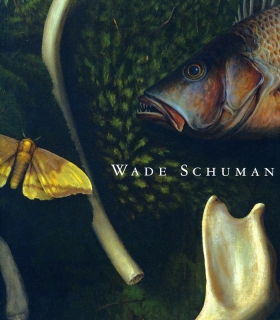 WADE SCHUMAN: ASPECTS OF VIEW